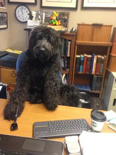 addictiontreatments 2 Featured image