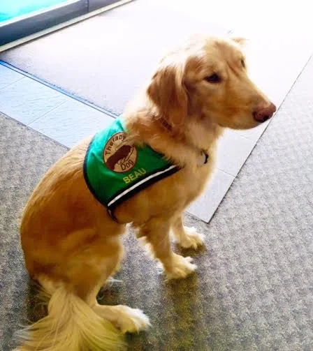 Addiction Treatment Centre Near Me Athens - The Athens Area Commencement Center 8 Featured image