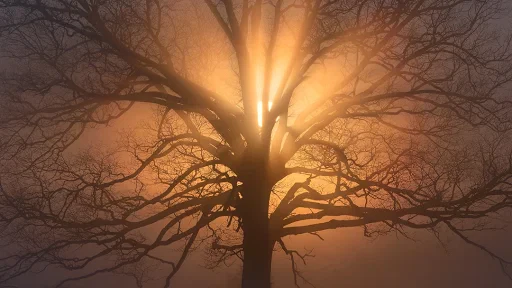 Addiction Treatment Centre Near Me Loves Park - Foundations Center 2 Featured image